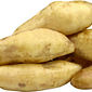 Batata Yacon ±1 kg - Terra