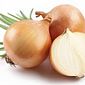 Cebola Comum Pequena ± 500 g - Terra