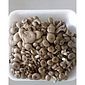 Cogumelo Shimeji bdj 200 g