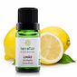 LIMÃO SICILIANO  ÓLEO ESSENCIAL TERRA FLOR 10ML LIMÃO SICILIANO  ÓLEO ESSENCIAL TERRA FLOR 10ML