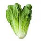 Alface Romana Orgânica (un.)