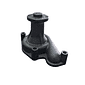 495B42000A BOMBA AGUA FERRO XINCHAI 495