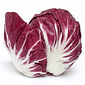 Radicchio Orgânico