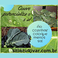 Couve Orgânica Couve Orgânica