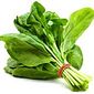 Espinafre Orgânico