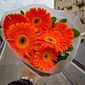 Buquê de Flores Gérbera Laranja