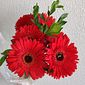 Buquê de Flores Gérbera Vermelha