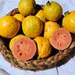 Goiaba (500g)