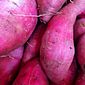 Batata doce rosa