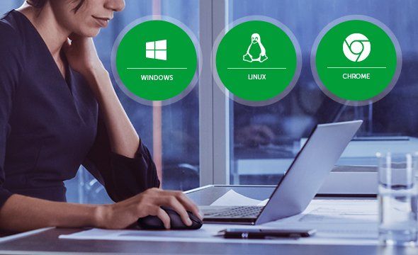 MSI 50 - Compatibilidade