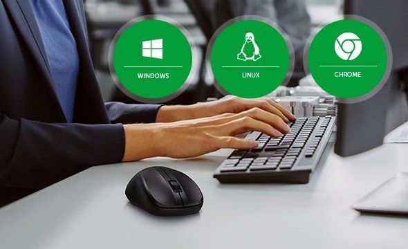 MSI 55 - Compatibilidade