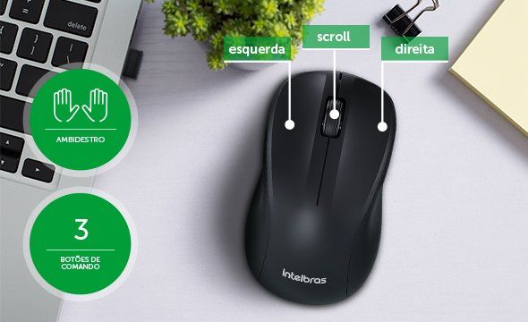 CSI 50 - Mouse