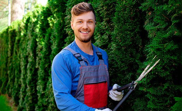 MIP 1000 IP - Cadastros