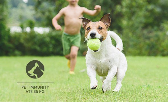 IVP 3000 MW EX - Mais segurança para seu pet