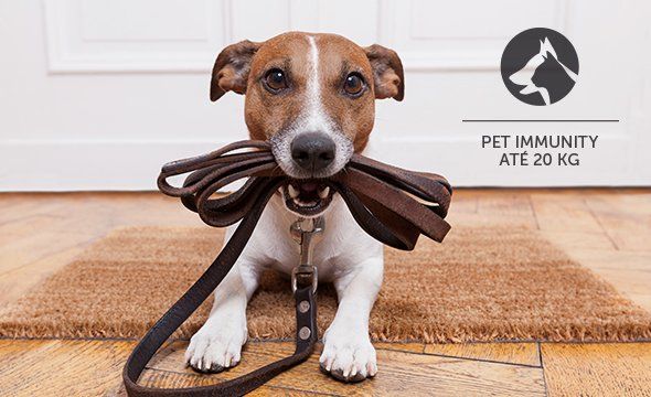 IVP 5001 PET - Segurança para sua casa e tranquilidade para seu Pet