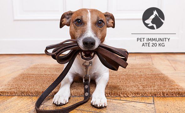 IVP 5311 MW PET - Pet