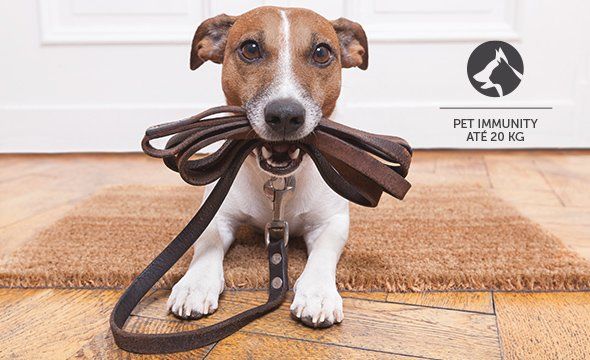 IVP 8000 PET - Mais segurança para seu pet