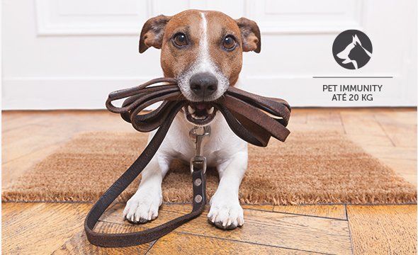 IVP 8000 PET CAM - Pet