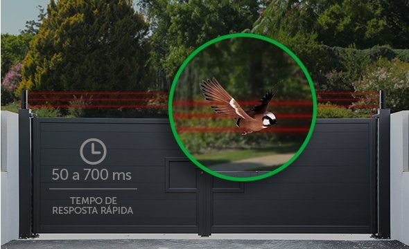 IVA 9100 TRI - Tempo