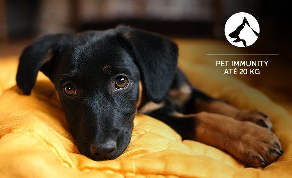 IVP 5301 PET PRO - Segurança