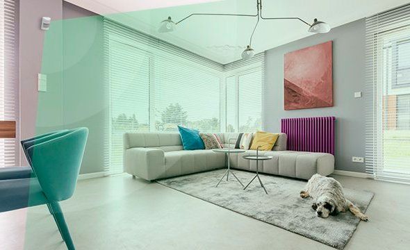 IVP 1000 PET - Melhor custo-benefício do mercado