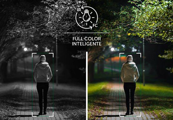 VIPW 1220 D FC+ Full Color Inteligente 