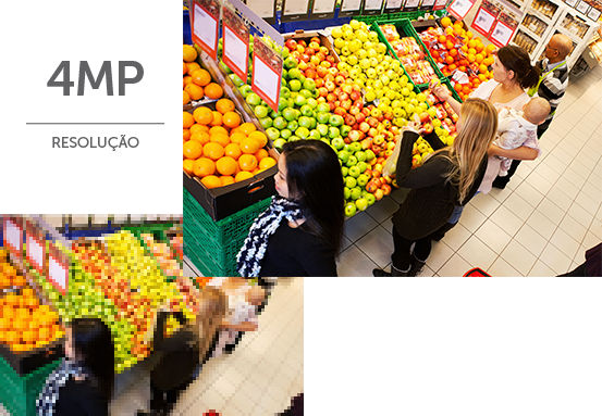 VIPC 1430 D - Segurança