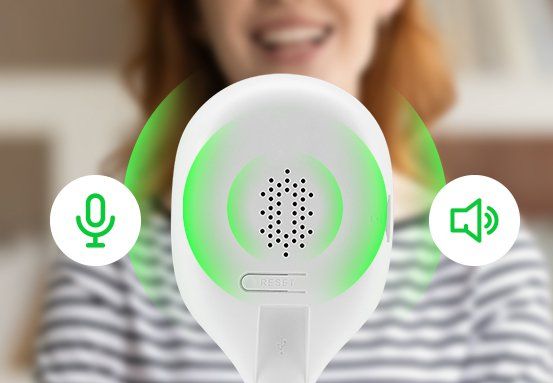 VIPW 1210 C - Audio bidirecional