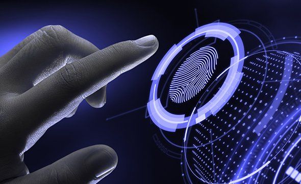 LE 3420 BIO - Algoritmo