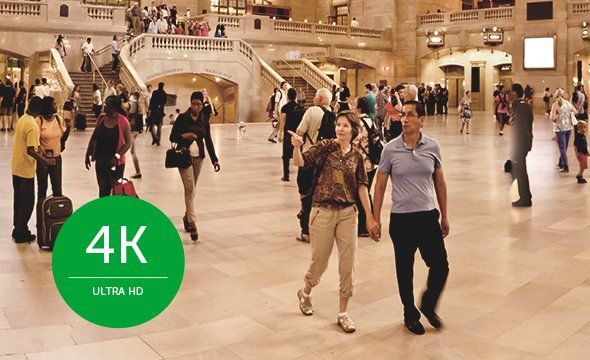 VB 500 P G2 - Detalhes