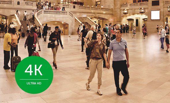 VB 501 P G2 - Detalhes