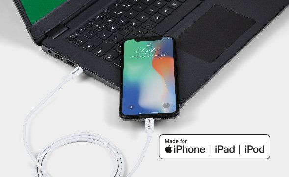 EUCL 12PP - Conector original Apple