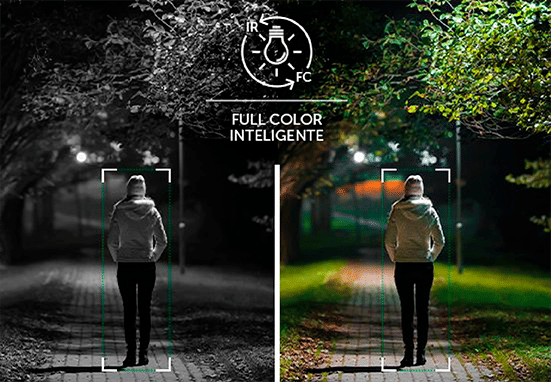 VIP 1230 D FC+ - Full Color