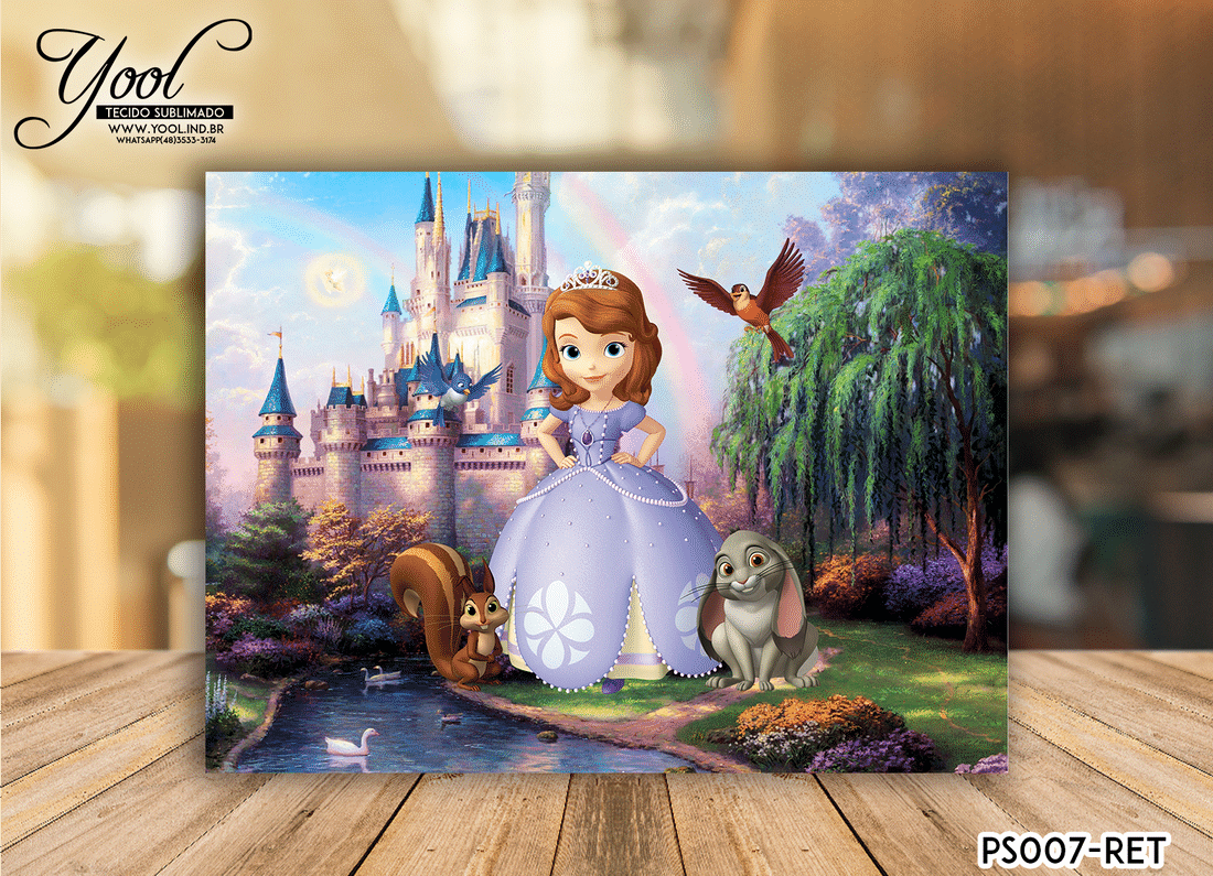 Princesa Sofia  Disney princess sofia, Princess sofia the first