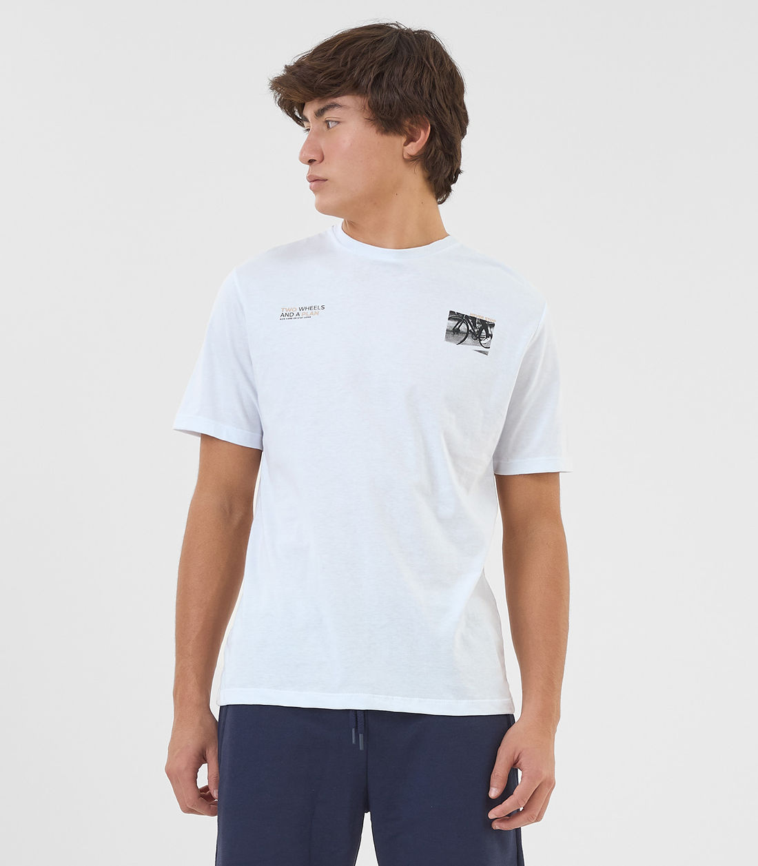 Camiseta Masculina Meia Malha com Estampa Minty - Moda Feminina e Masculina, Itens para Casa e Mais l Rovitex
