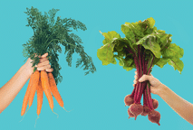 FOLHAS DE BETERRABA, CENOURA...