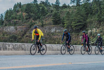 Comparativo: Linhas Free Force - Qual a Ideal para Você?