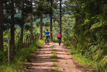 Diferença entre pedalar de MTB, Gravel e Speed