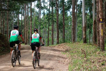 Camisa de Cicloturismo: Conforto e Praticidade para Longas Jornadas