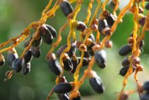 Estilo de vida na era da sustentabilidade