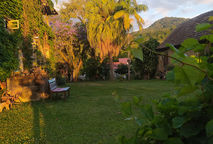 As consequências da economia linear