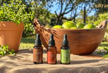 Própolis Vermelho x Verde x Marrom: diferenças e qual o melhor