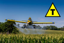 Alimentos transgênicos: este assunto já está na sua mesa!