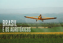 O Brasil e os agrotóxicos