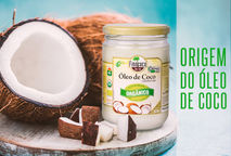 Origem do óleo de coco Finococo