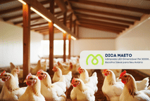 Lâmpada LED Dimerizável 9W 3000K: A Escolha Ideal para Seu Aviário