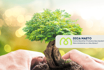Como Escolher Produtos Que Ajudam o Meio Ambiente e o Seu Bolso?