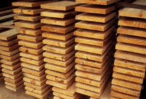 Madeira Maciça de Reflorestamento: Por que escolher um Berço de Madeira Maciça