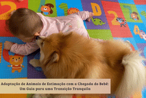 Adaptação de Animais de Estimação com a Chegada do Bebê: Um Guia para uma Transição Tranquila