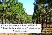 Compromisso com a Sustentabilidade: A Jornada da Madeira na Produção dos Nossos Móveis